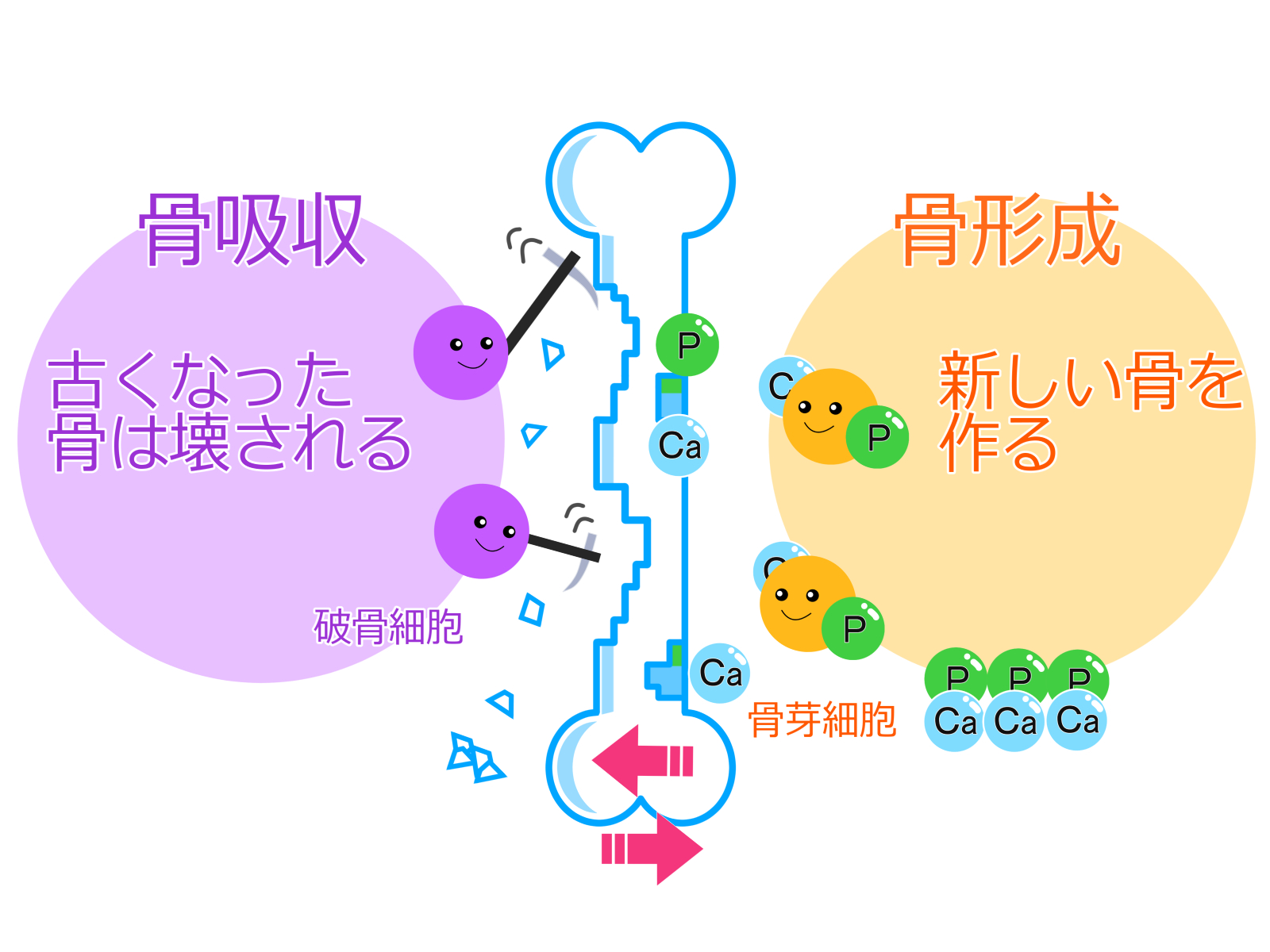 ●タグ