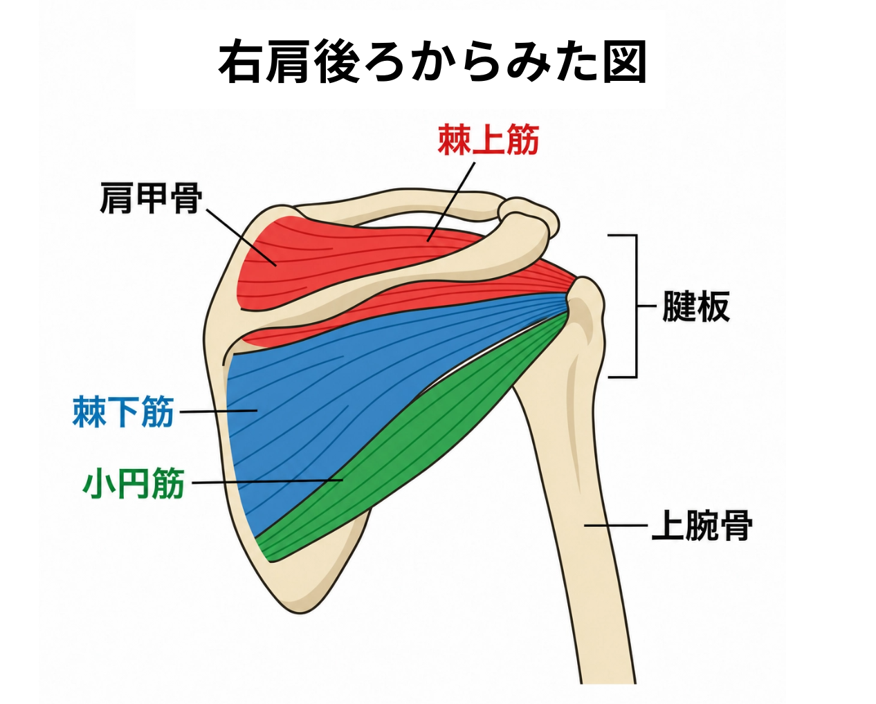 ●タグ