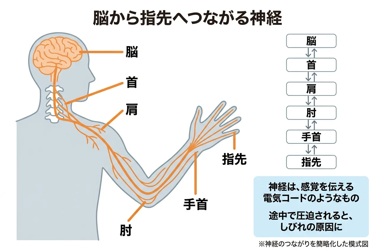 ●タグ